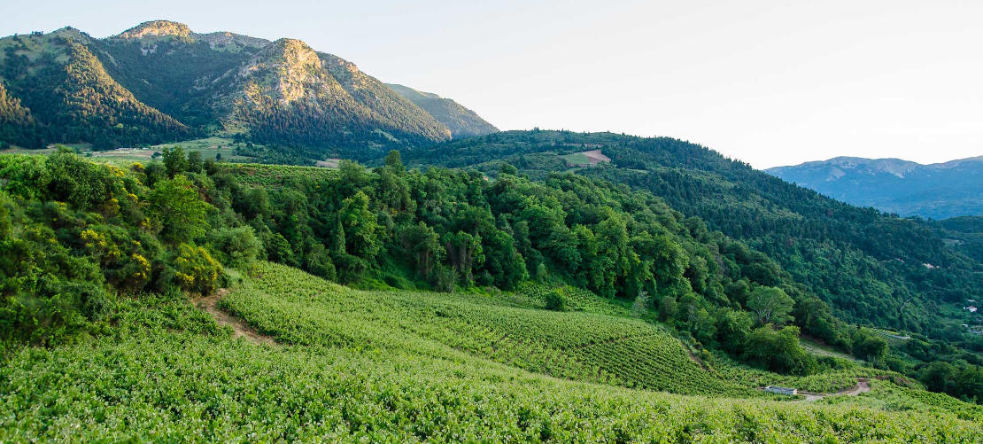 The slopes of Aigialia