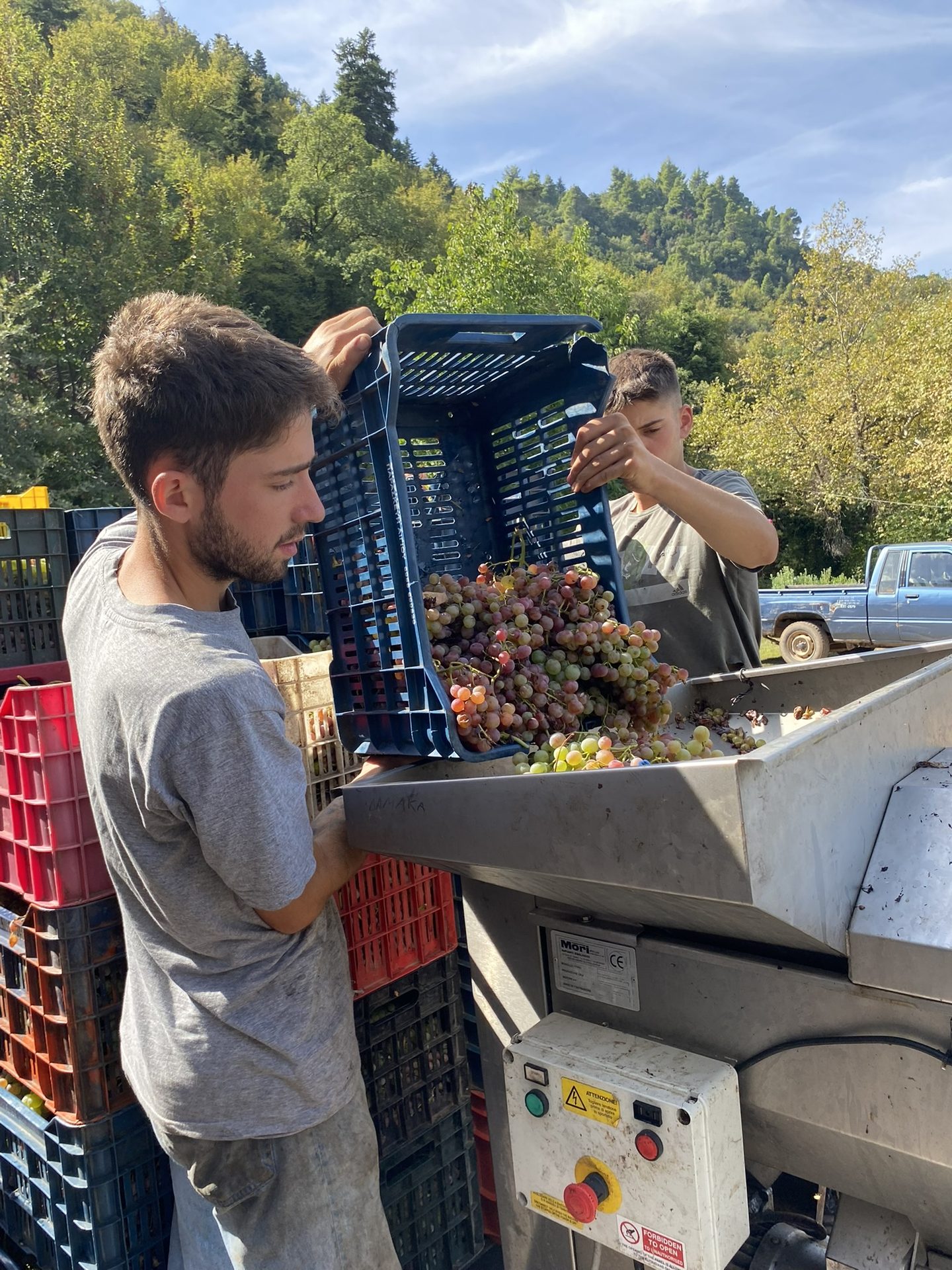 Winemaking process